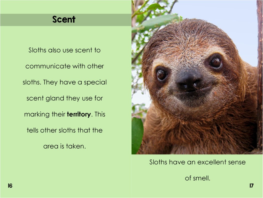 Slothsinterior