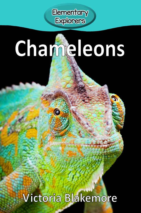 Chameleons- Reader_Page_01