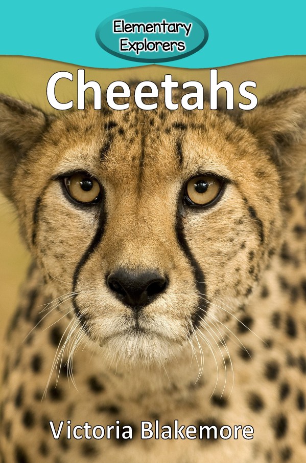 Cheetahs- Reader_Page_01