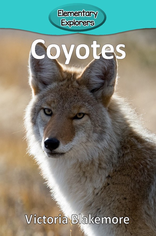 Coyotes- Reader_Page_01