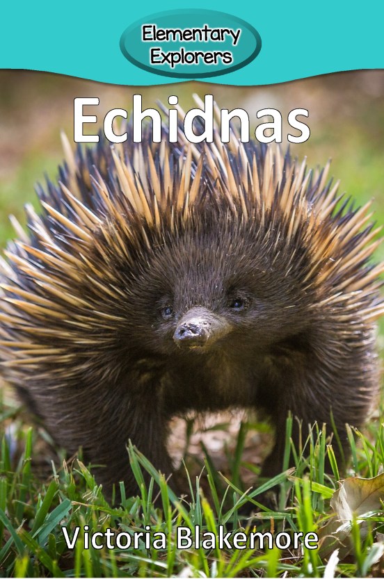 Echidnas- Reader_Page_01