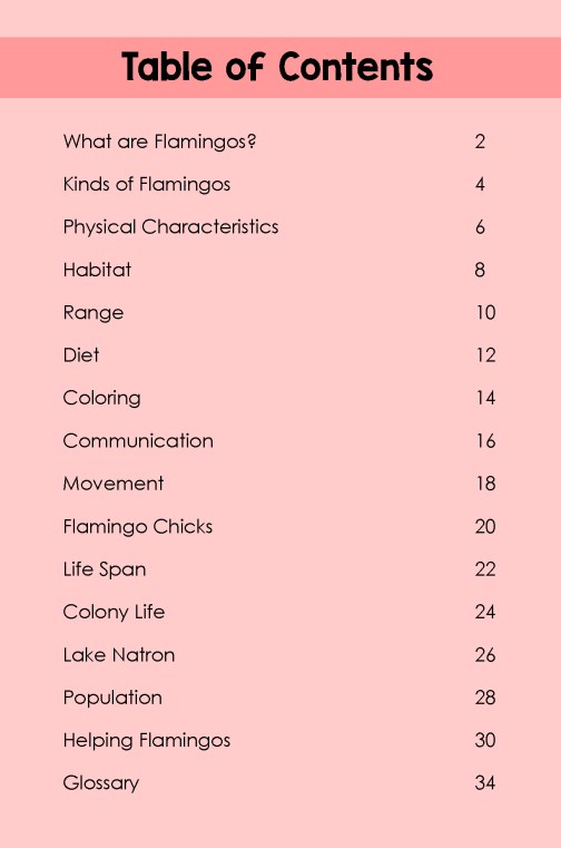 Flamingos- TOC