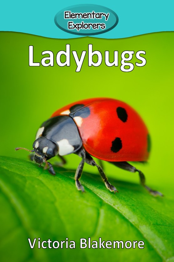 Ladybugs- Reader_Page_01