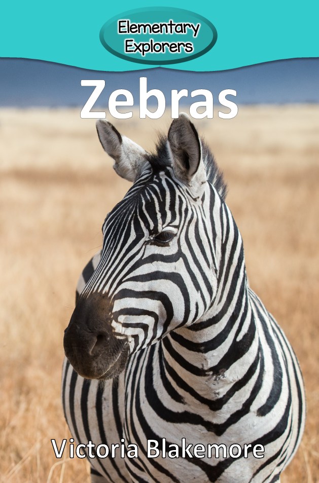 Zebras- Reader_Page_01