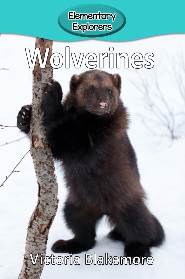 Wolverines- Reader_Page_1