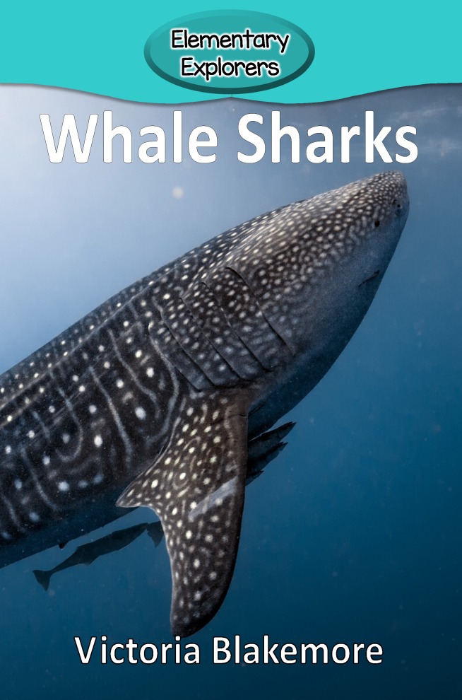 Whale Sharks- Reader_Page_1