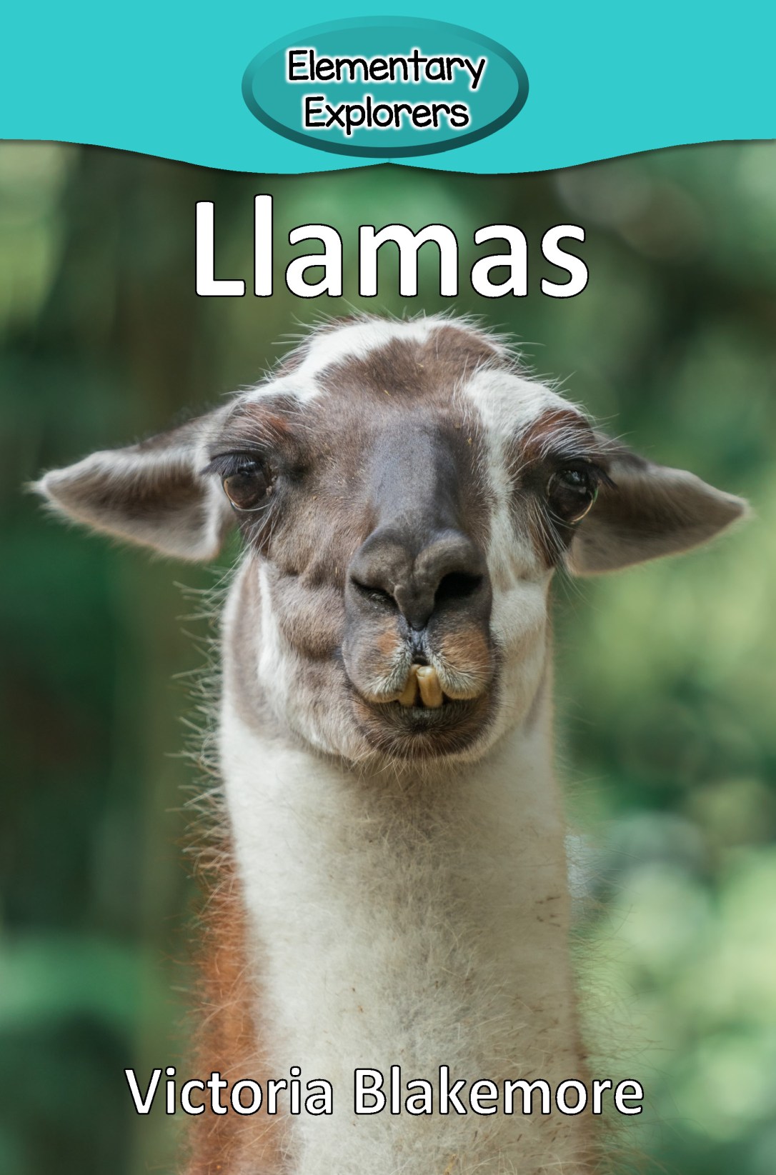 Llamas- Reader_Page_1